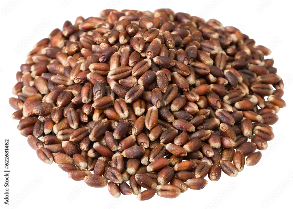 Raw rye isolated on white background. Raw rye isolated on white background.