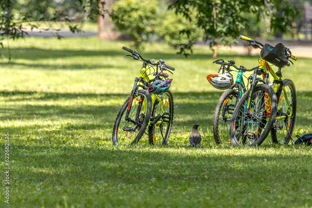 Empty bicycles of vacationers on the lawn in summer. Bicycles in the park. Public city park. Healthy Lifestyle. Active leisure. Resting in the fresh air in the summer. Sunny day.