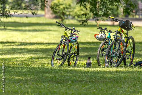 Empty bicycles of vacationers on the lawn in summer. Bicycles in the park. Public city park. Healthy Lifestyle. Active leisure. Resting in the fresh air in the summer. Sunny day.