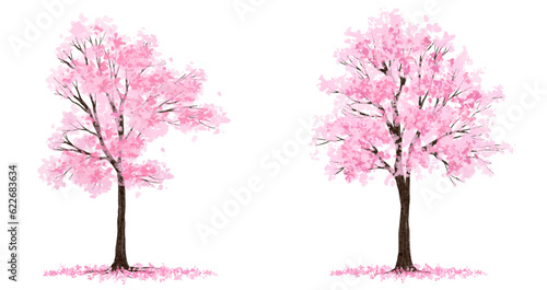 Vector watercolor blooming flower tree side view isolated for landscape and architecture drawing, elements for environment and garden,botanical elements for section in spring ,Sakura tree 