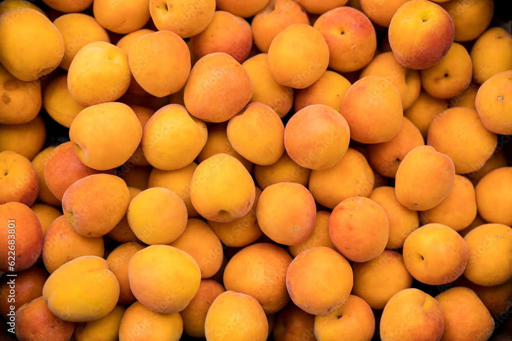 A bunch of ripe organic apricots