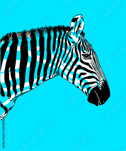 Zebra mit entgegengesetzten Zebrastreifen Tier Vektor Design