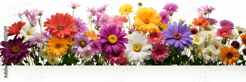spring flowers border isolated on white background. Image for wedding or birthday invitation cards. 