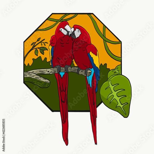 parrot birds couple vector illustration at the woods of forest