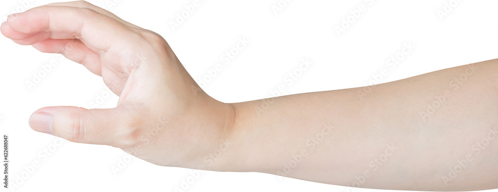 Woman hand gesture holding something isolated on white background Woman hand gesture holding something isolated on white background
