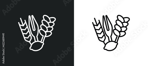 four species outline icon in white and black colors. four species flat vector icon from religion collection for web, mobile apps and ui.