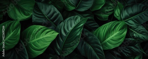 Wallpaper Mural Abstract green leaf texture, nature background, tropical panorama. Generative Ai. Torontodigital.ca