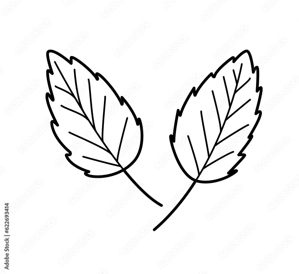 Mint Leaves doodle icons. Vector illustration single sketch isolate on white.