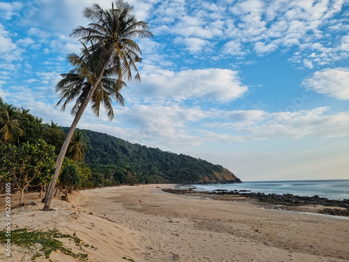 palm trees on the beach