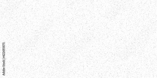 Seamless white paper texture background and terrazzo flooring texture polished stone pattern old surface marble background. Monochrome abstract dusty worn scuffed background. 