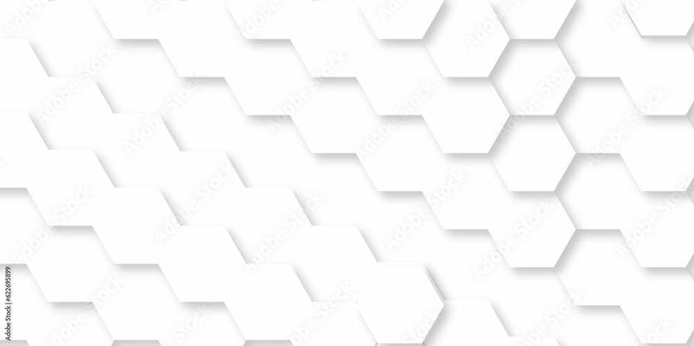 Background with white and black lines 3d Hexagonal structure futuristic white background and Embossed Hexagon , honeycomb white Background ,light and shadow ,Vector. Background with white and black lines 3d Hexagonal structure futuristic white background and Embossed Hexagon , honeycomb white Background ,light and shadow ,Vector.