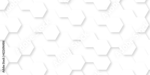 Fototapeta Naklejka Na Ścianę i Meble -  Background with white and black lines 3d Hexagonal structure futuristic white background and Embossed Hexagon , honeycomb white Background ,light and shadow ,Vector.