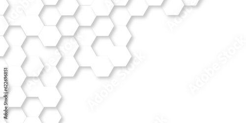 White and black lines 3d Hexagonal structure futuristic white background and Embossed Hexagon , honeycomb. Abstract White Hexagonal Background. Luxury White Pattern. Vector Illustration. 3D Futuristic