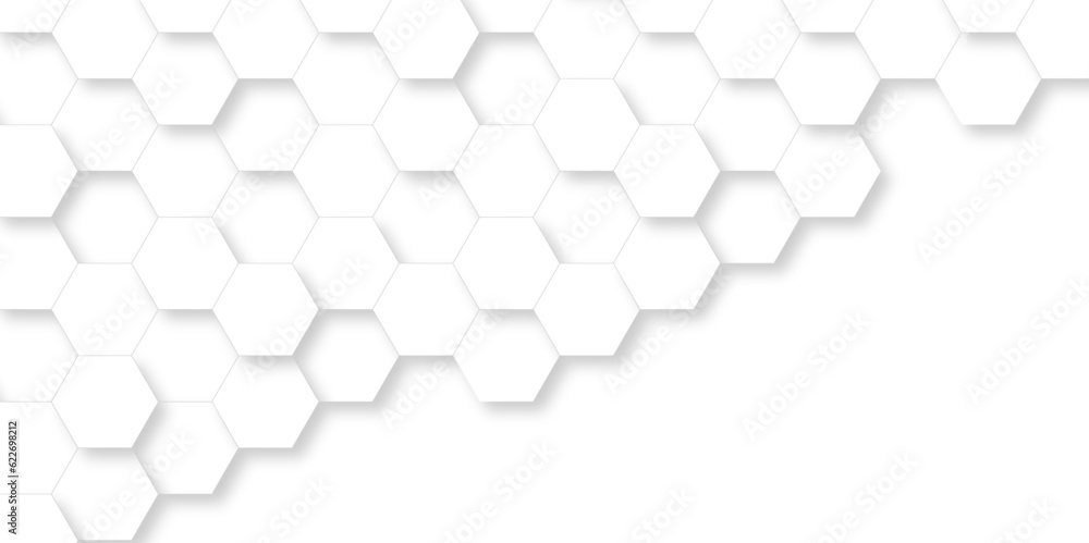 Background with white and black lines 3d Hexagonal structure futuristic white background and Embossed Hexagon , honeycomb white Background ,light and shadow ,Vector. Background with white and black lines 3d Hexagonal structure futuristic white background and Embossed Hexagon , honeycomb white Background ,light and shadow ,Vector.