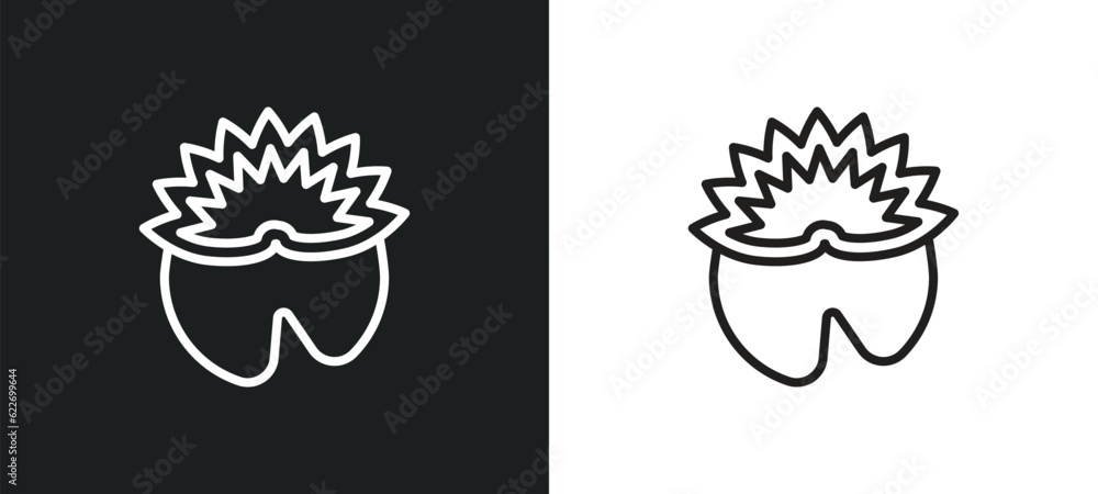nymphea outline icon in white and black colors. nymphea flat vector icon from nature collection for web, mobile apps and ui.
