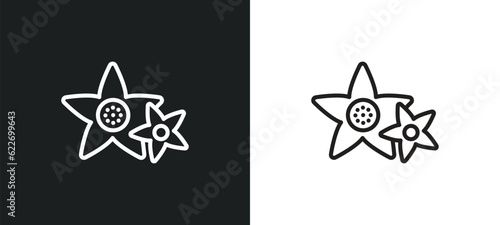 neroli outline icon in white and black colors. neroli flat vector icon from nature collection for web, mobile apps and ui.