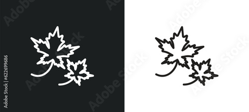 maple outline icon in white and black colors. maple flat vector icon from nature collection for web, mobile apps and ui. photo