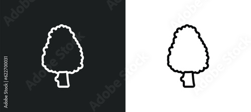 american larch tree outline icon in white and black colors. american larch tree flat vector icon from nature collection for web, mobile apps and ui.