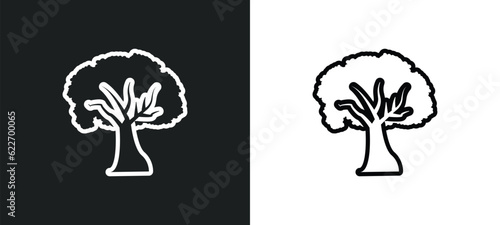sycamore tree outline icon in white and black colors. sycamore tree flat vector icon from nature collection for web, mobile apps and ui.