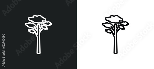 pitch pine tree outline icon in white and black colors. pitch pine tree flat vector icon from nature collection for web, mobile apps and ui.