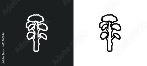 slippery elm tree outline icon in white and black colors. slippery elm tree flat vector icon from nature collection for web, mobile apps and ui.