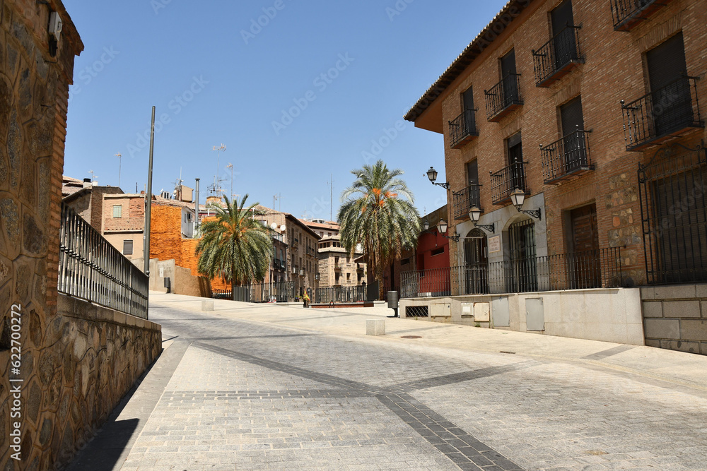 Street surrounded by houses and palms on the both sides of it on a sunny day in Toledo, Spain