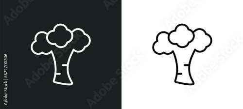 american beech tree outline icon in white and black colors. american beech tree flat vector icon from nature collection for web, mobile apps and ui.