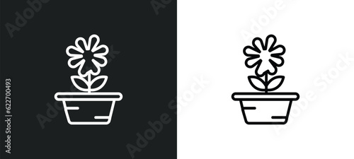 daisy on pot outline icon in white and black colors. daisy on pot flat vector icon from nature collection for web, mobile apps and ui.