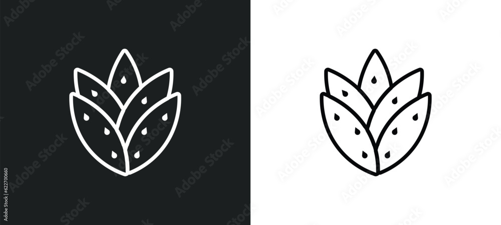 Obraz premium agave outline icon in white and black colors. agave flat vector icon from nature collection for web, mobile apps and ui.