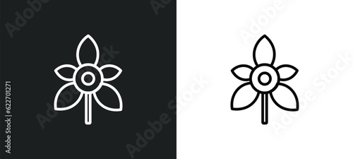 palmatelly outline icon in white and black colors. palmatelly flat vector icon from nature collection for web, mobile apps and ui. photo