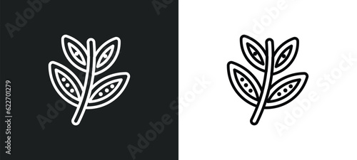 black willow outline icon in white and black colors. black willow flat vector icon from nature collection for web, mobile apps and ui.