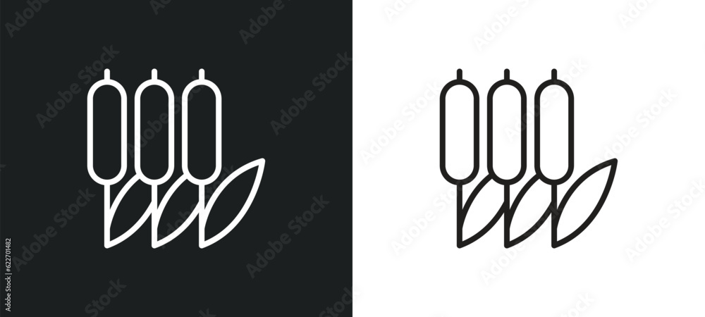 Obraz premium reed outline icon in white and black colors. reed flat vector icon from collection for web, mobile apps and ui.