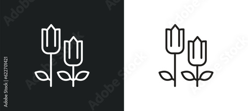 tulip outline icon in white and black colors. tulip flat vector icon from nature collection for web, mobile apps and ui. #622701421