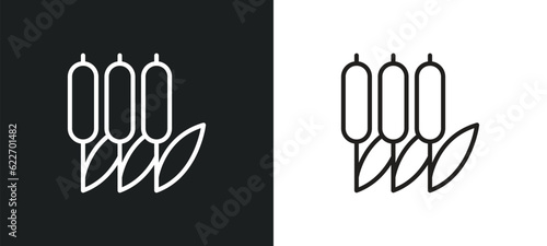 reed outline icon in white and black colors. reed flat vector icon from collection for web, mobile apps and ui.