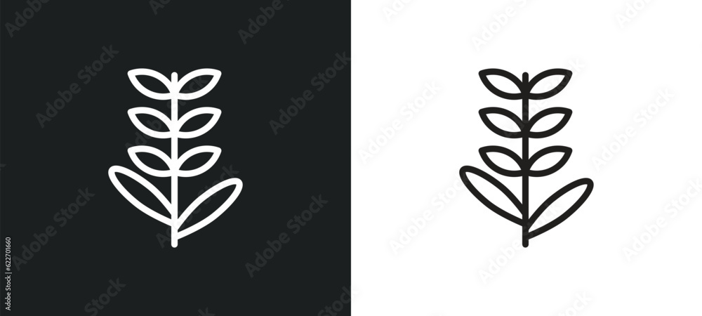 lavender outline icon in white and black colors. lavender flat vector icon from nature collection for web, mobile apps and ui.
