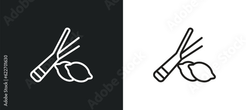 lemongrass outline icon in white and black colors. lemongrass flat vector icon from nature collection for web, mobile apps and ui.