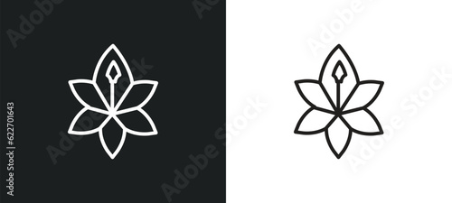 lily outline icon in white and black colors. lily flat vector icon from nature collection for web, mobile apps and ui.