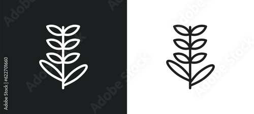 lavender outline icon in white and black colors. lavender flat vector icon from nature collection for web, mobile apps and ui.