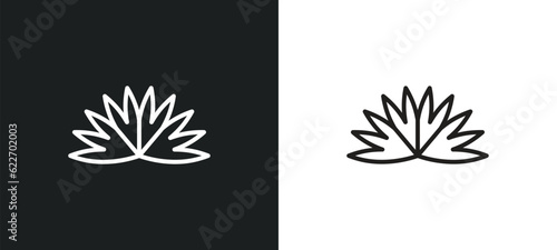acicular outline icon in white and black colors. acicular flat vector icon from nature collection for web, mobile apps and ui.