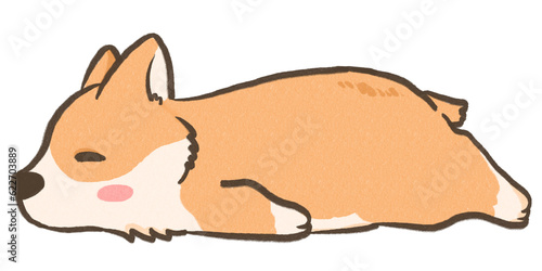 Foto corgi sleep