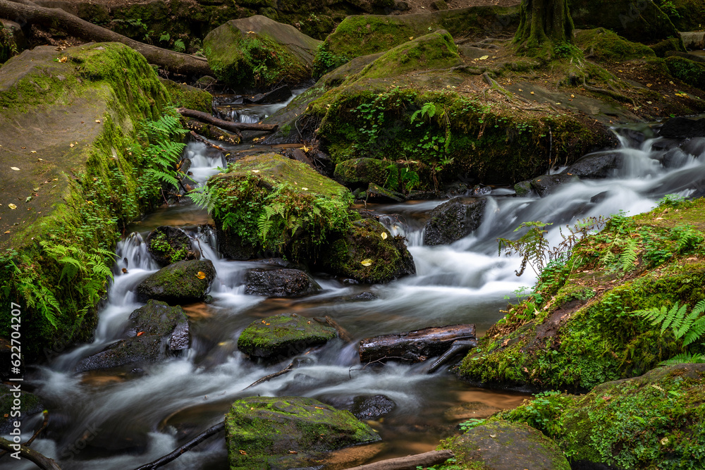 Creek of Moosalbe in Kalstalschlucht with small Waterfalls, Rhineland-Palatinate, Germany, Europe