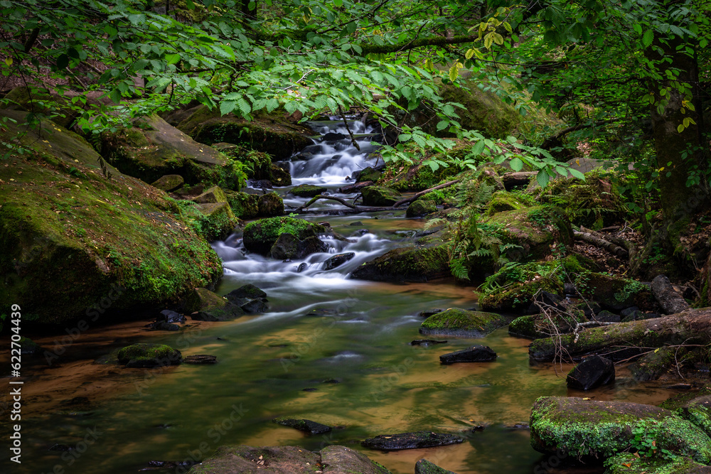 Creek of Moosalbe in Kalstalschlucht with small Waterfalls, Rhineland-Palatinate, Germany, Europe Creek of Moosalbe in Kalstalschlucht with small Waterfalls, Rhineland-Palatinate, Germany, Europe