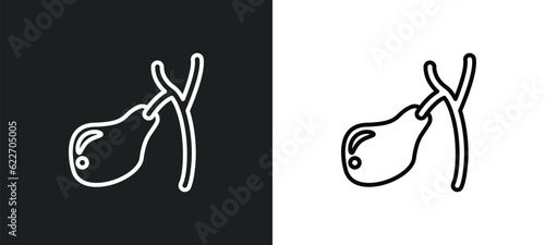 gallbladder outline icon in white and black colors. gallbladder flat vector icon from medical collection for web, mobile apps and ui.