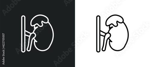 adrenal gland outline icon in white and black colors. adrenal gland flat vector icon from medical collection for web, mobile apps and ui.