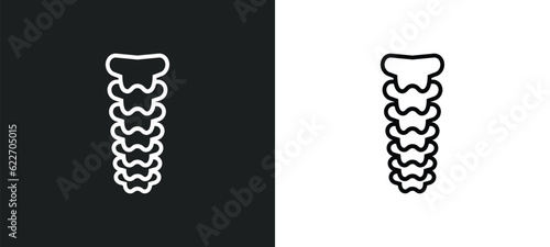 vertebra outline icon in white and black colors. vertebra flat vector icon from medical collection for web, mobile apps and ui. photo