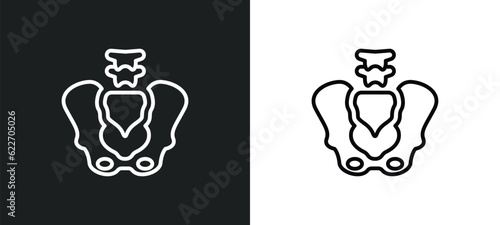 pelvic area outline icon in white and black colors. pelvic area flat vector icon from medical collection for web, mobile apps and ui.