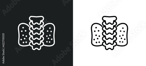 thyroid gland outline icon in white and black colors. thyroid gland flat vector icon from medical collection for web, mobile apps and ui.
