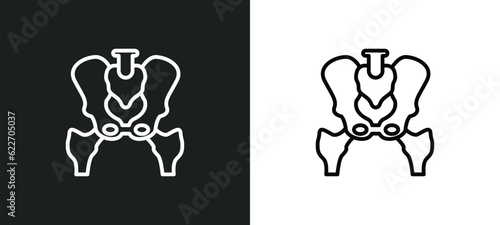 p outline icon in white and black colors. p flat vector icon from medical collection for web  mobile apps and ui.