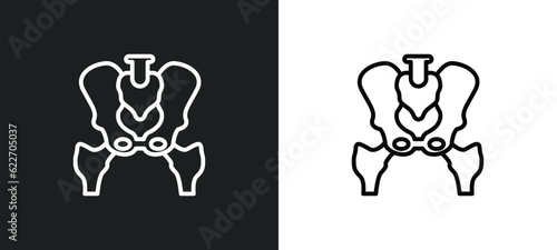 p outline icon in white and black colors. p flat vector icon from medical collection for web, mobile apps and ui.