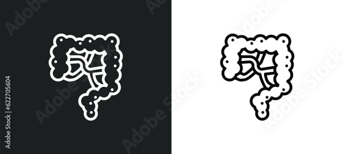 intestine outline icon in white and black colors. intestine flat vector icon from medical collection for web, mobile apps and ui.